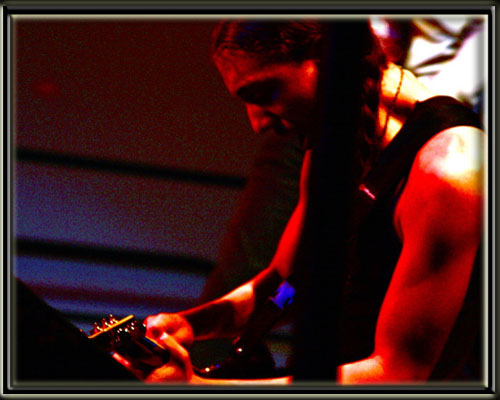 brad photo